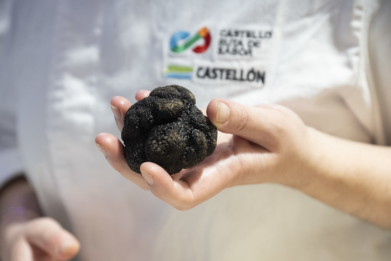 52636925639_02c8747292_c