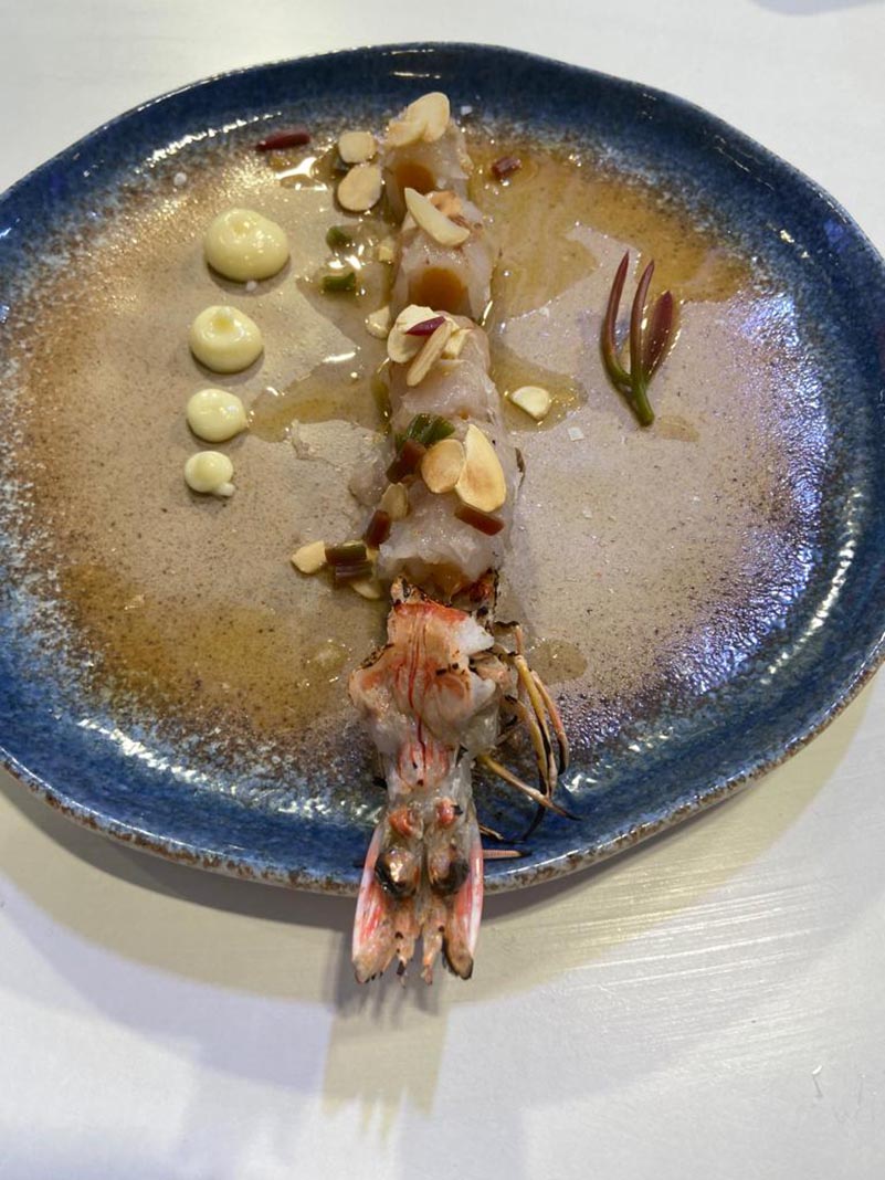 WhatsApp Image 2023-01-19 at 15.26.12