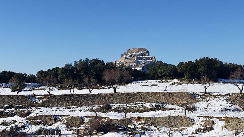 8d984cab-7687-4280-b595-764572ab5acc