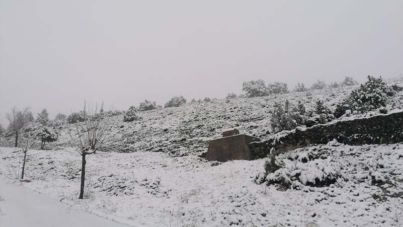 Suspés el transport escolar a Palanques per la neu (1)