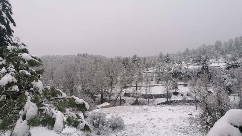 Suspés el transport escolar a Palanques per la neu (3)