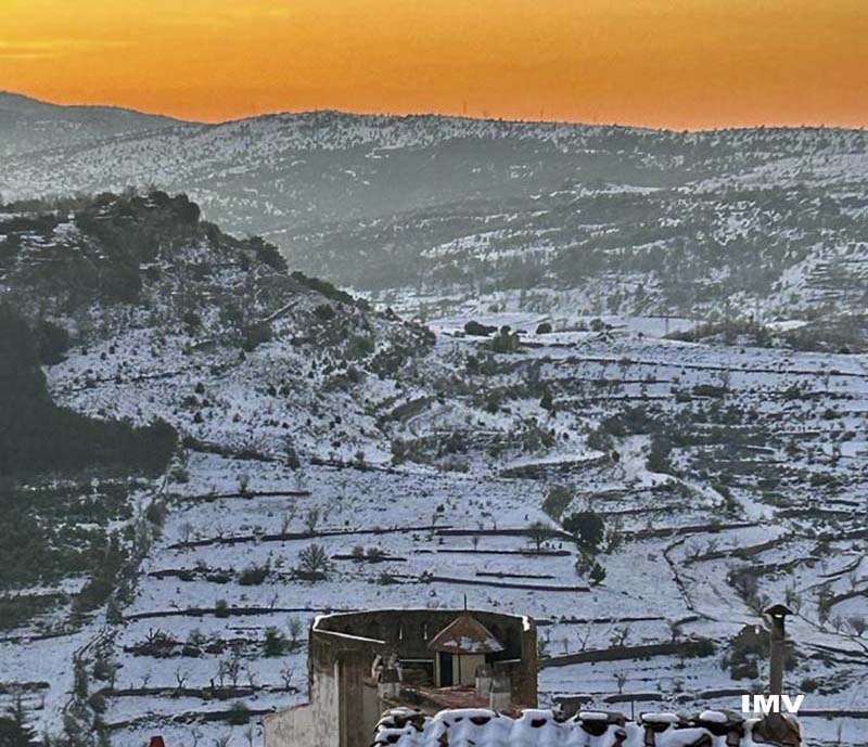 e67b322f-41b5-4841-849f-9da57a7af987