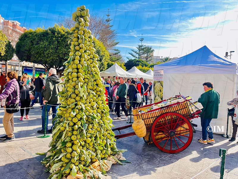 6e10ffad-f4dd-448a-a9b4-b3b25cb525b7