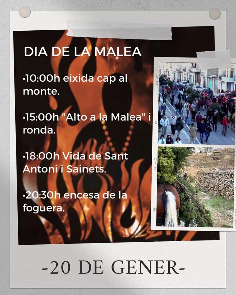 Programació dissabte