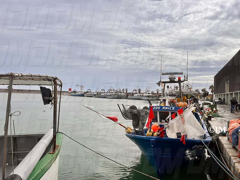 734f7f45-bd4b-4030-9163-505fc3542016