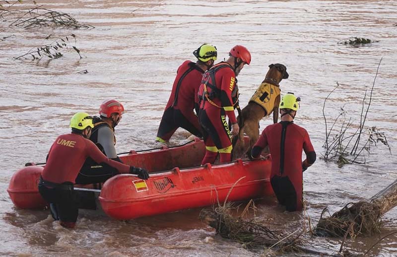 4258d54f-d5b6-4b7b-a46e-1684f07f4cf1