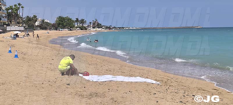 8454e49e-fe18-4be0-86a0-6c1037fa319d