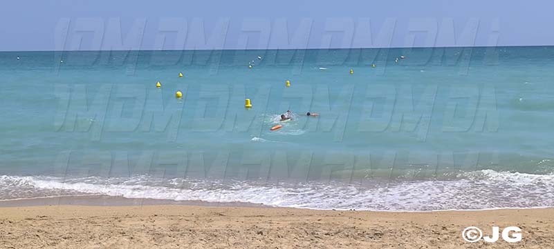 a869dbb2-e8a8-4a40-b502-a4c1609bae11