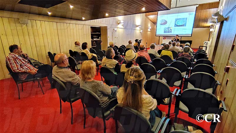 24270bff-9aad-47f7-a3f9-7fd02d0e881e311025jpg1031311025