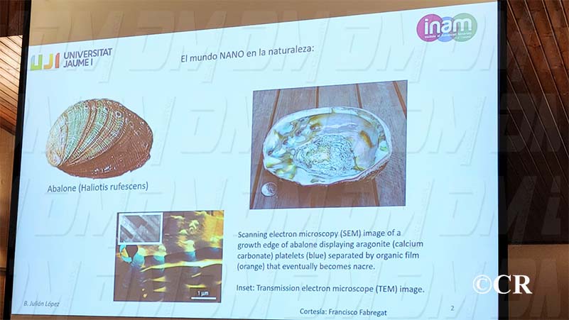 78085e54-438a-43ec-b4f6-48a4a2c6a1ef311025jpg1031311025