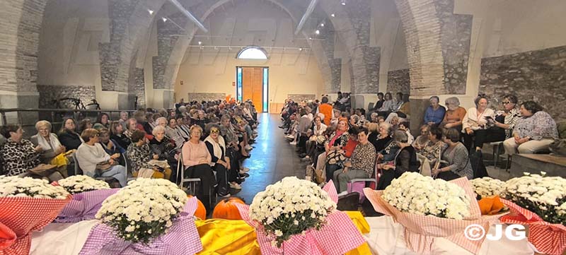 8e90e595-04bf-46fd-abc6-0c2fe73cf860301025jpg1030301025