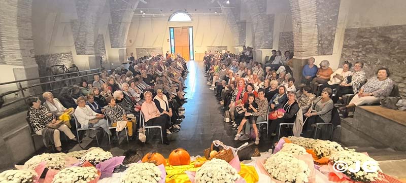 afb35aa6-4e2c-4740-ab2b-6ec59c5944c8301025jpg1030301025