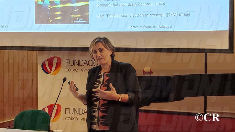 c73ff4e8-dff3-45d1-83aa-cb009d312dee311025jpg1031311025