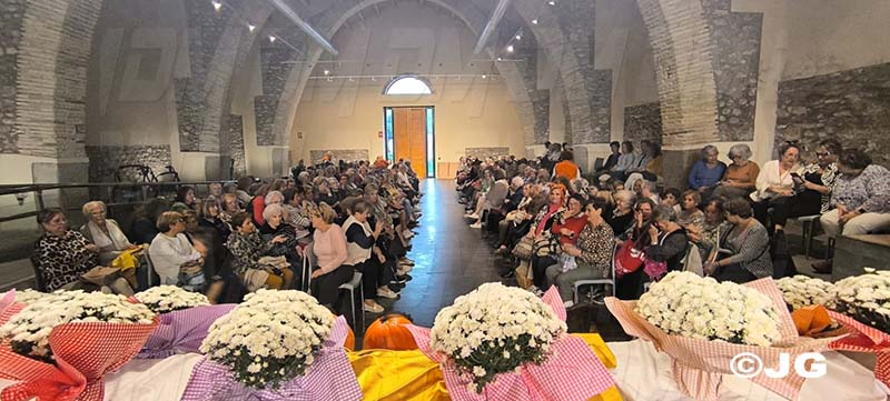 f4c42d0b-bcbd-40a3-befa-d1b861a1596a301025jpg1030301025