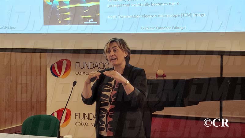 fca5c272-6025-4dec-a366-b4402f823882311025jpg1031311025