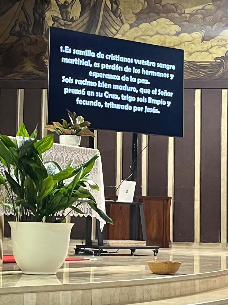 Es semilla de cristianos vuestra sangre martirial, es perdón de los hermanos y esperanza de la paz. Sois racimo bien maduro que el Señor prensó en su cruz, trigo sois limpio y fecundo, triturado por Jesús.