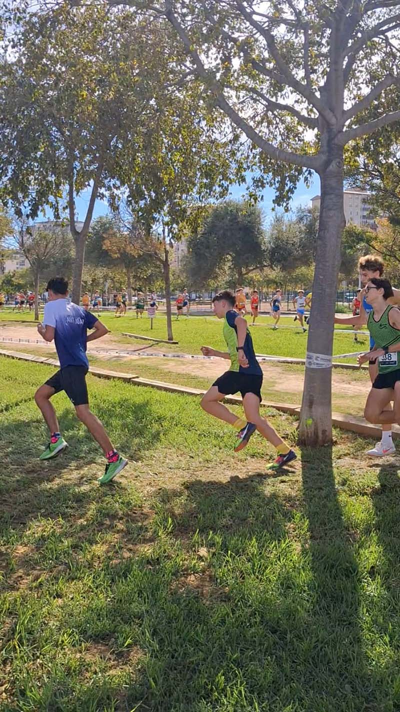 575086239_1390893896377734_5994681299772777022_N250411JPG20251104jpg