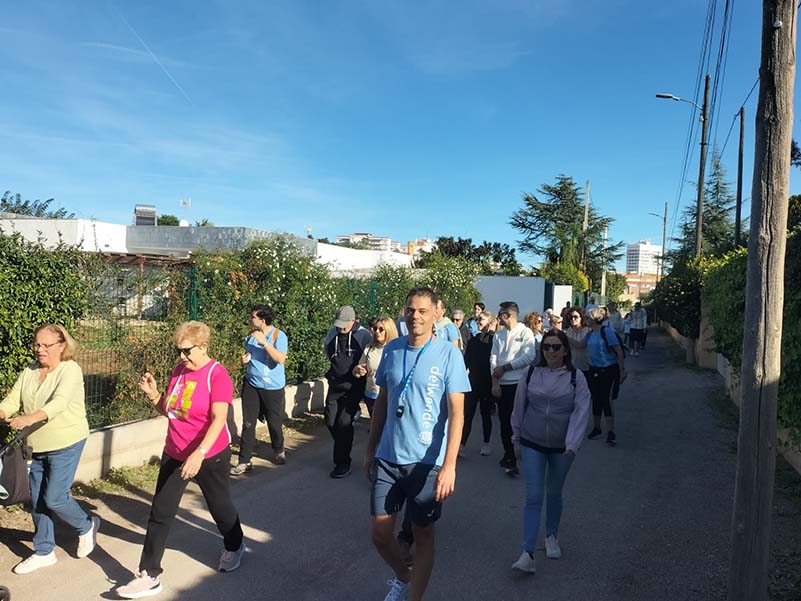 867d02f4-f1b4-4743-83a9-1d7bb4066f07