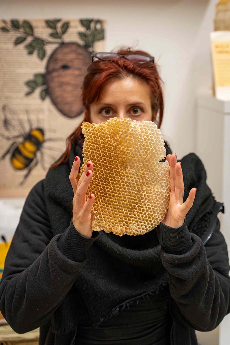 cristina dezi-ARNES-4