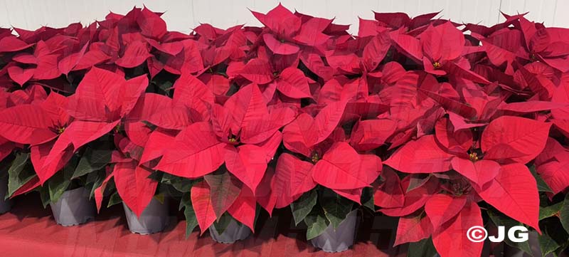 1dbd13b0-d60e-4016-9415-3677a5d2981d