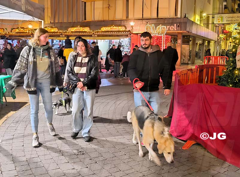 27abed9a-2dbf-4dd4-a7bb-fa36933ed4b6