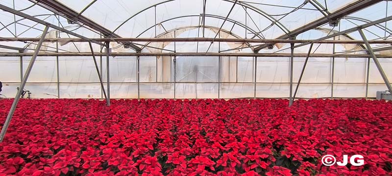 397a3251-928f-437f-ad44-bd6dd7b5fd80