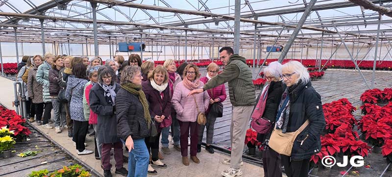 4237b4ca-b76b-416b-8eb6-63f7aa8aea73