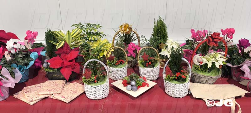 471ed9c7-2f0a-4014-b508-8dc47d864998