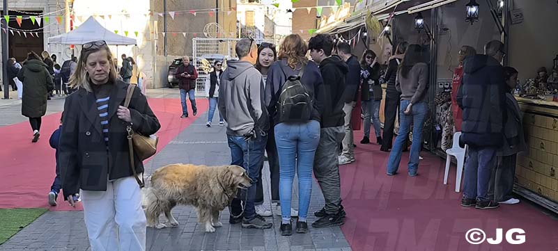 5b8a8934-913c-476a-8154-2461ef732910