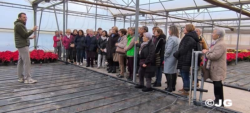 96cbd787-4b87-4cdf-863a-76e1343e6f46