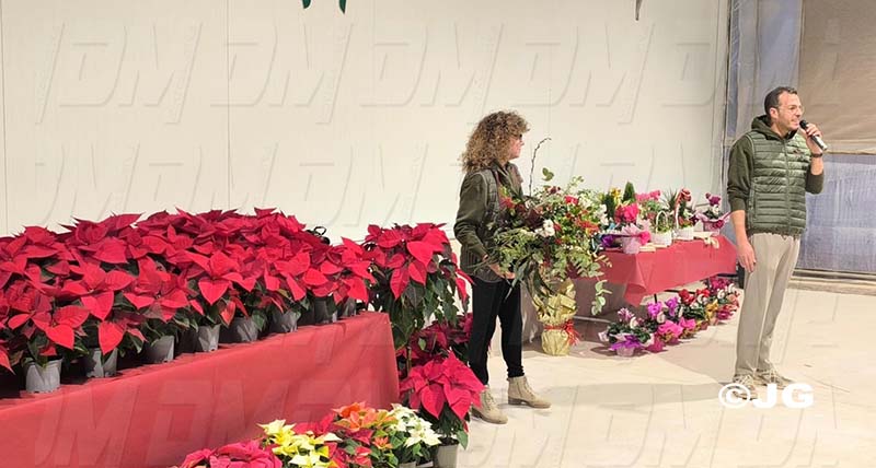 b4816dc4-0c7e-402f-b739-379cba1c5aa5