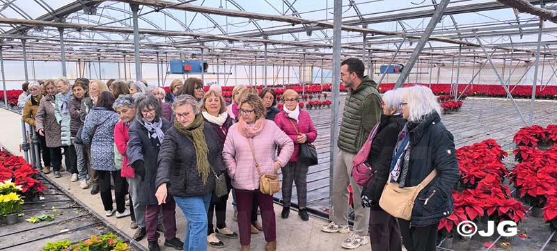 c51dbc1c-edf1-4aaa-b889-b5e8ca51876a