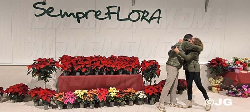 cfe641a4-9643-4233-b554-159ffdc6deee