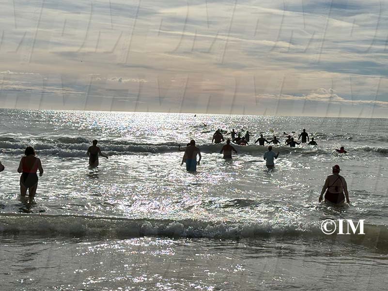 0c0c4905-2203-4111-ba32-9252c6c4a1bb