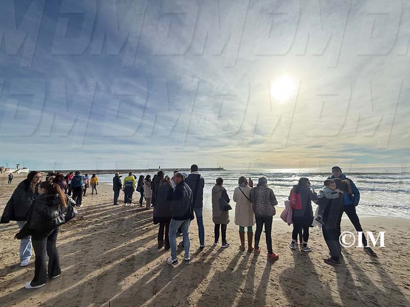 350d7310-c7ed-408c-97b6-f6e85780a9c8