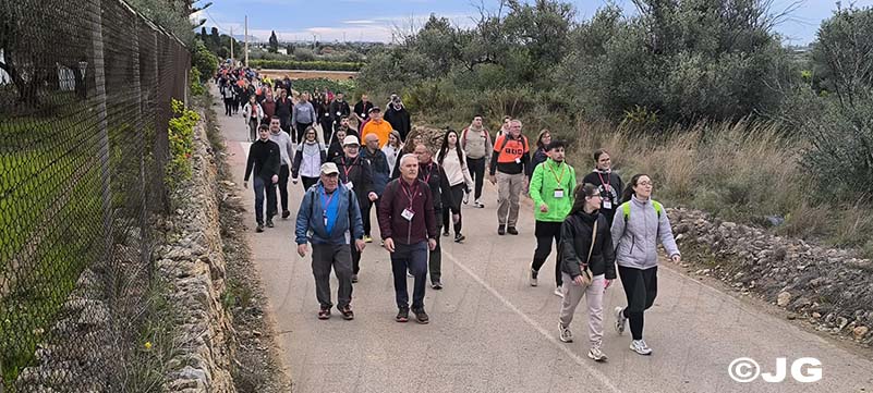 2fc6d95f-dbfc-4723-8871-3a8959131308