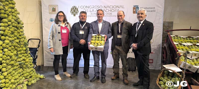 338afaf4-a1e7-40d9-8a89-b0159c9fa6d8