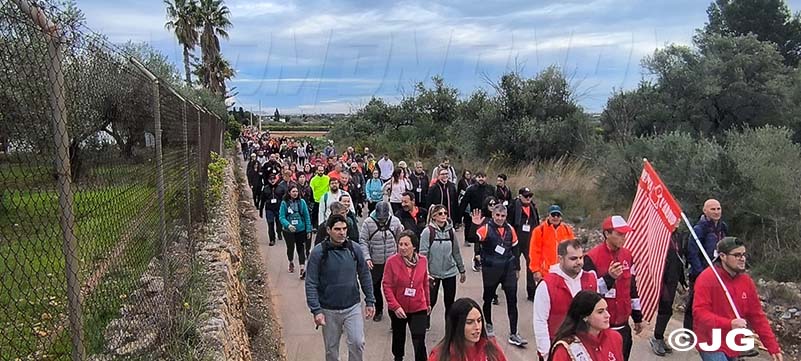 675237b6-13f7-4eb7-8724-8f210c19af84