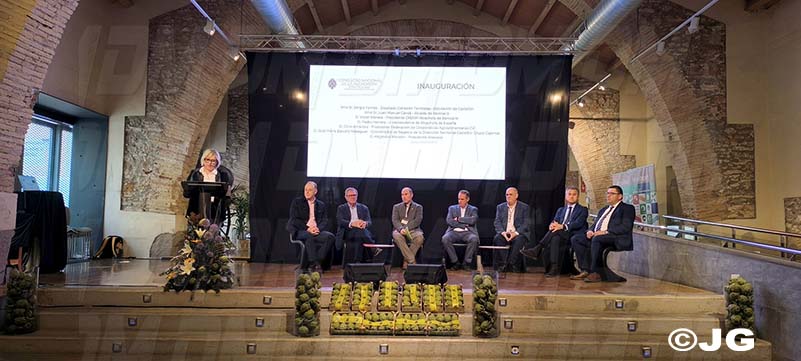 71de3030-1c4e-4869-85c6-8354abebefcb