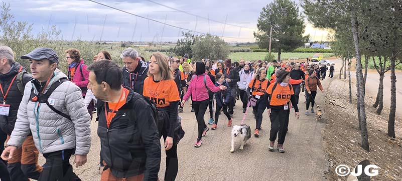 964c612d-6cad-4f77-aebc-b3e7934f6c37