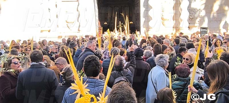 97c84209-fb75-4eb1-b828-e8c44e113fe7