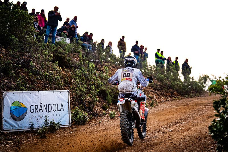 ALFREDOPELLICER-RF906693