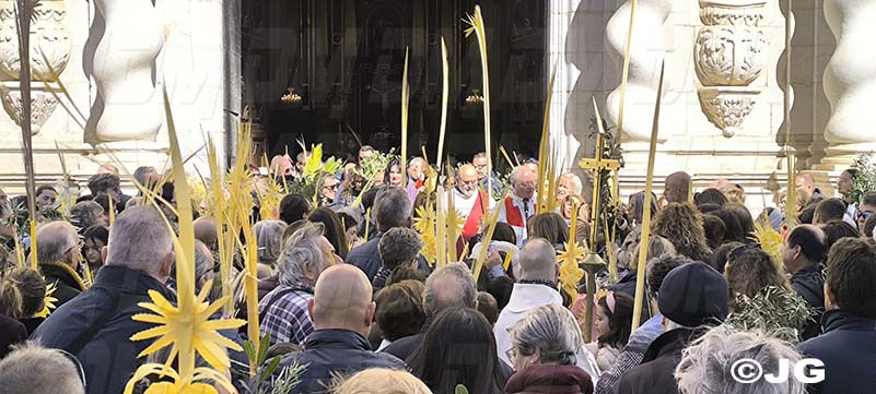 d039521f-fb85-45e6-900f-ed3ca0645ce1