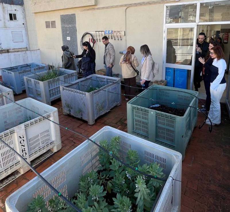 photo_5890728924608663066_x