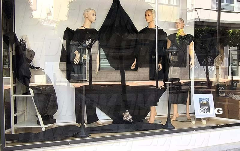 Segon premi - Serendiphy