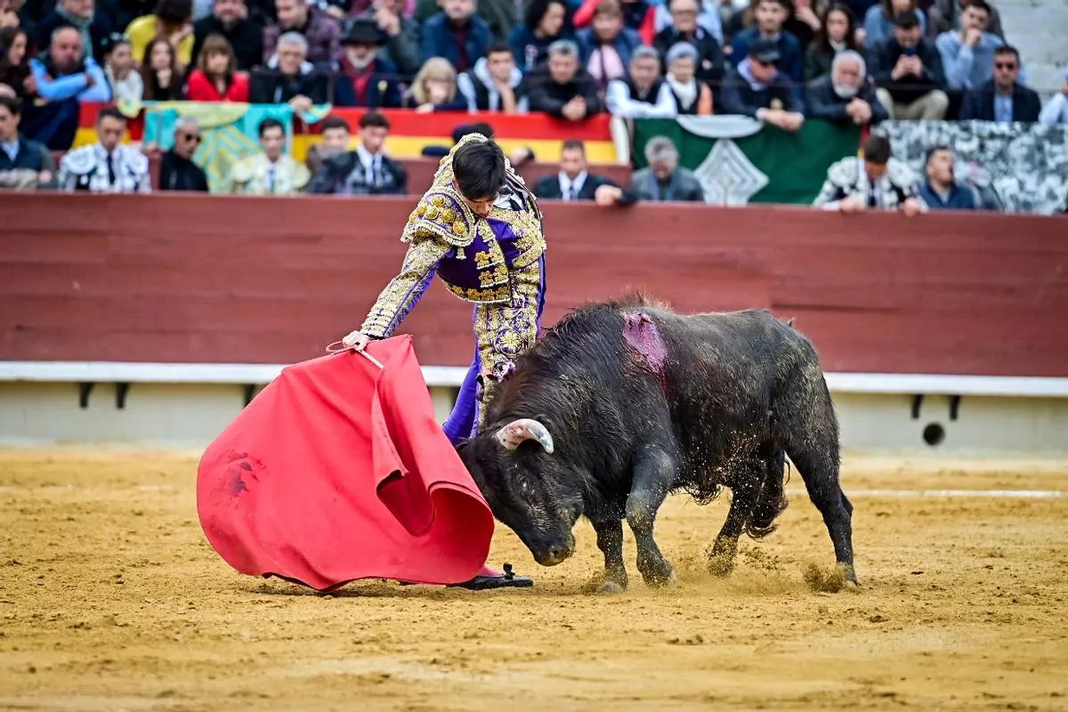 cdfddec6-ad89-456f-b643-4a07155207d9_alta-libre-aspect-ratio_default_0_x617y274