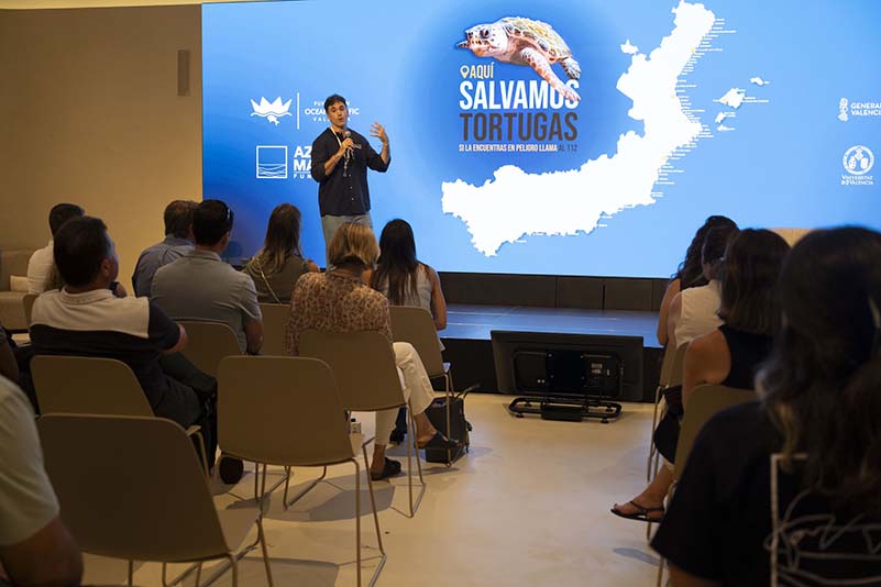 FAM_CampañaTortugas01