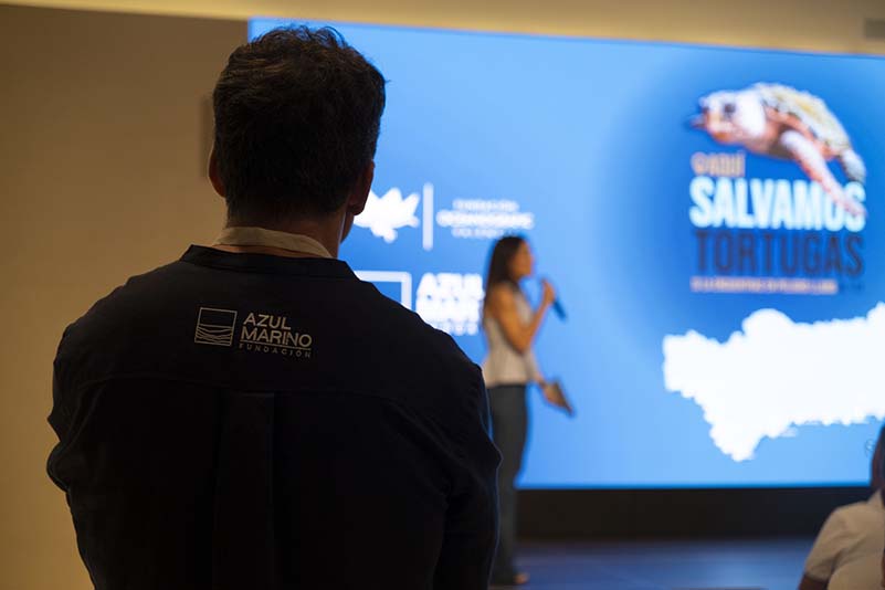 FAM_CampañaTortugas03
