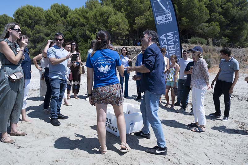 FAM_CampañaTortugas10