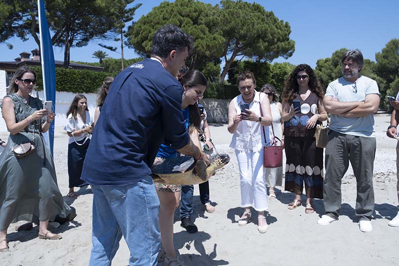 FAM_CampañaTortugas11